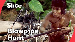 Deadly Blowpipes of the Jungle: How Borneo's Punan People Hunt in Silence | SLICE