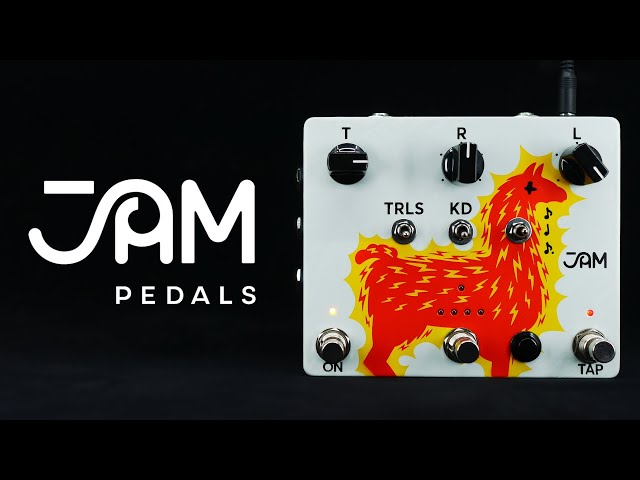 Jam Pedals Delay Llama Xtreme Analog Delay | Demo - YouTube