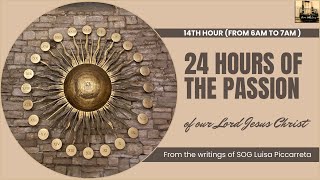 Hour 14 - 24 Hours of the Passion of Our Lord Jesus