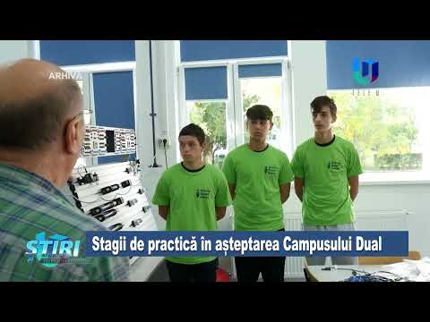 Stagii de practică în așteptarea Campusului Dual