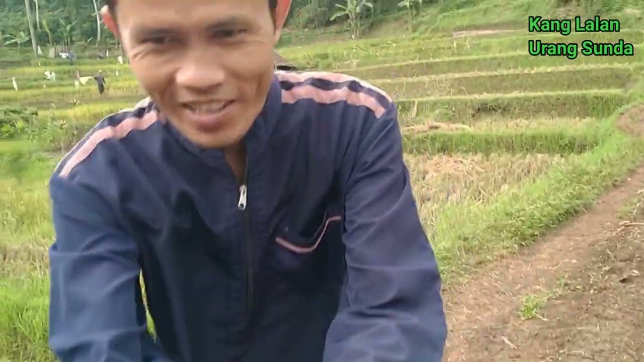 Keindahan area pesawahan dan sungai