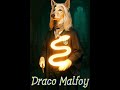 Harry Potter and the Dogs of Hogwarts | Part 1 🐾 The Magic Begins