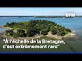 Six hectares, cinq plages, deux maisons…une île en Bretagne est à vendre pour 2,5 millions d’euros