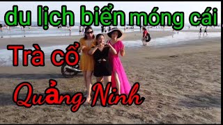 du lịch bãi biển Trà cổ móng cái Quảng Ninh