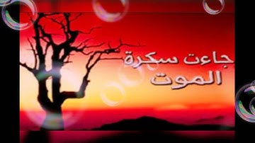أجمل تلاوة راقية وهادئة جدا / القارئ الشيخ سامي عبد الرحمن الكردي