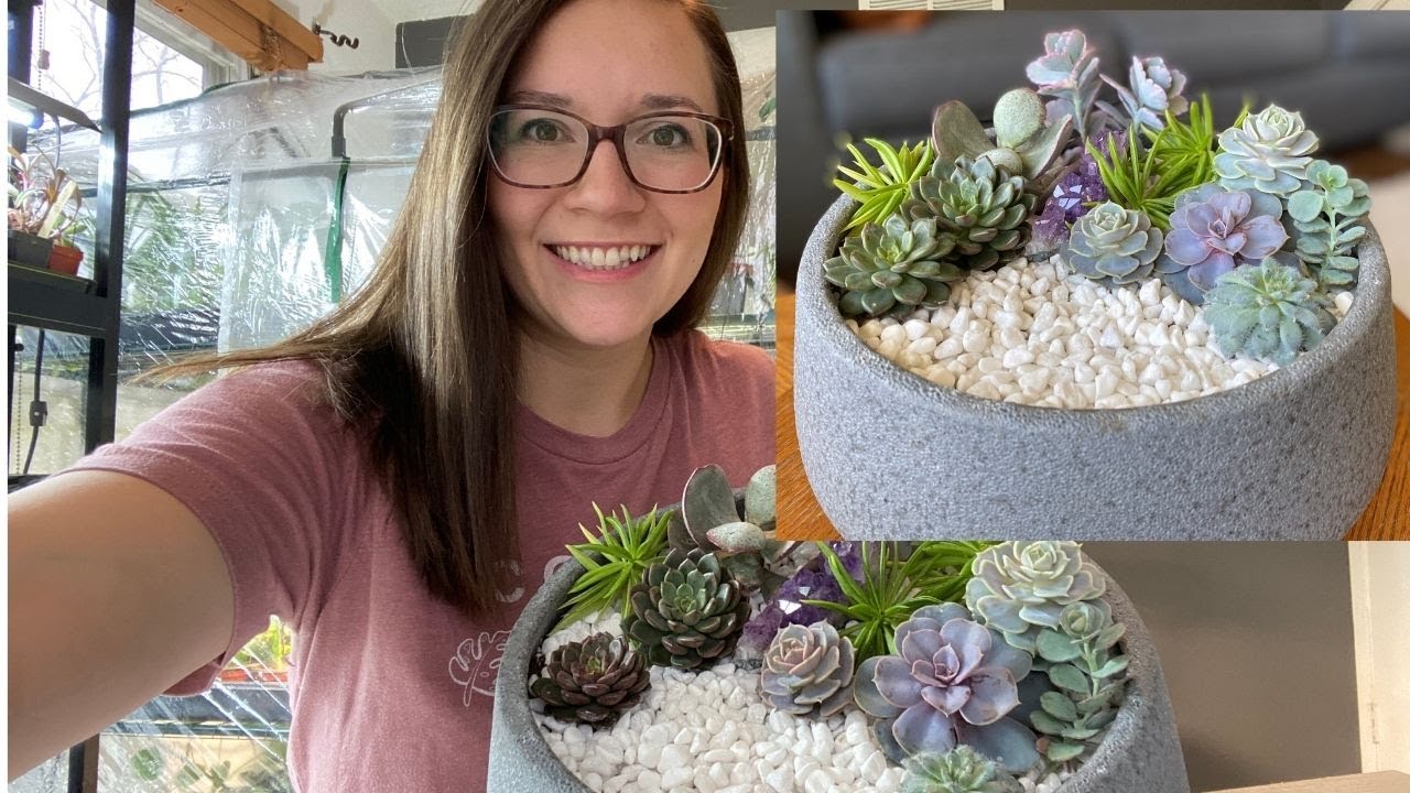 How To Take Care of a Cut Succulent Arrangement // Angels Grove Gardening