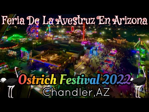 Video: Festival griego de Chandler, Arizona
