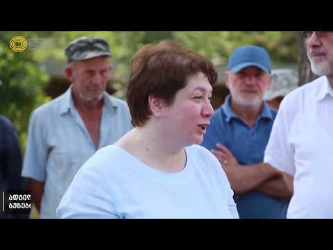 მაია ცქიტიშვილი ადიგენის მუნიციპალიტეტში მოსახლეობას შევხდა