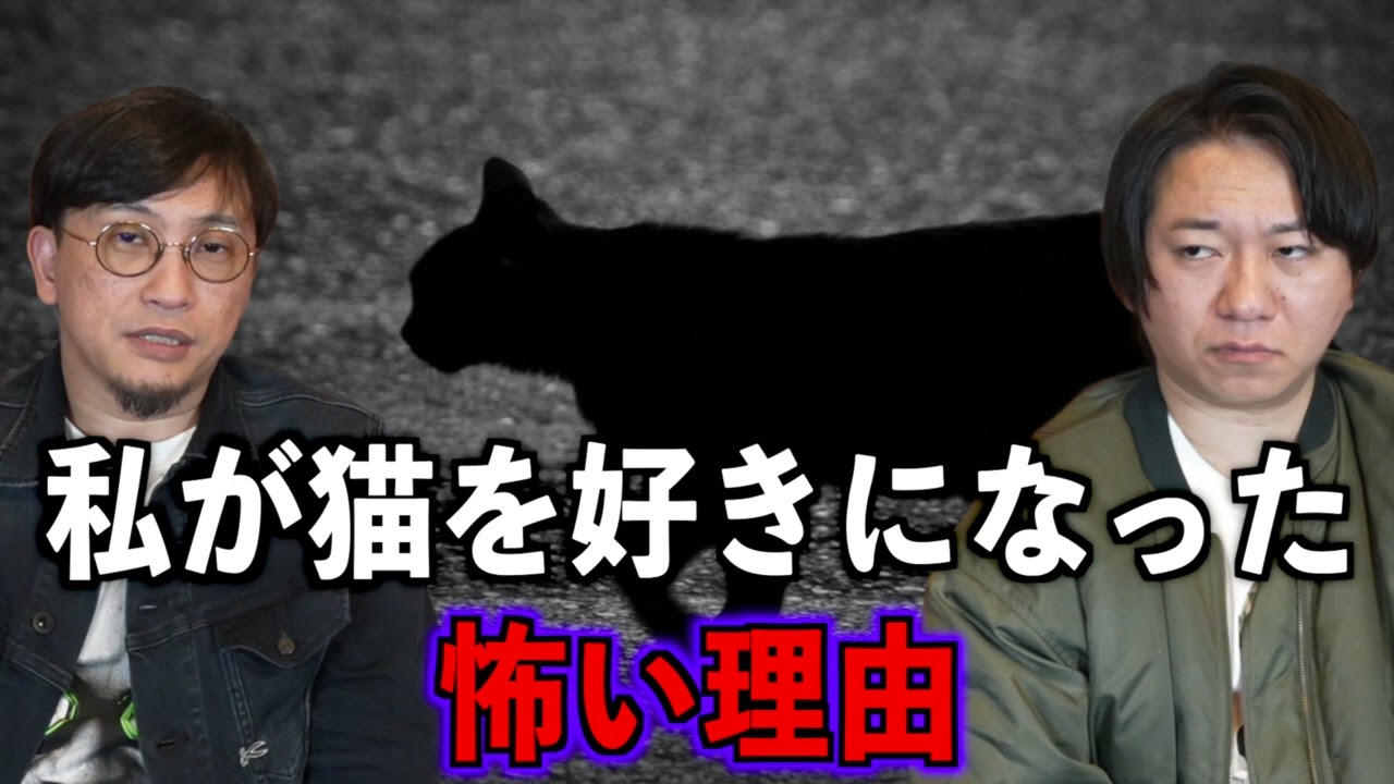 【お便り回】私が猫を好きになった怖い理由【投稿】