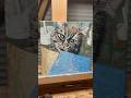 Cat Pet Portrait - Oil Painting on Canvas - 6”x6” - @destinyscribnerart on insta