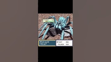 Thumbnail of Legendary Pokemon appeared from nest! - EeveeSite #pokemon #pokemonmeme #irlpokemon #pokemonbattle