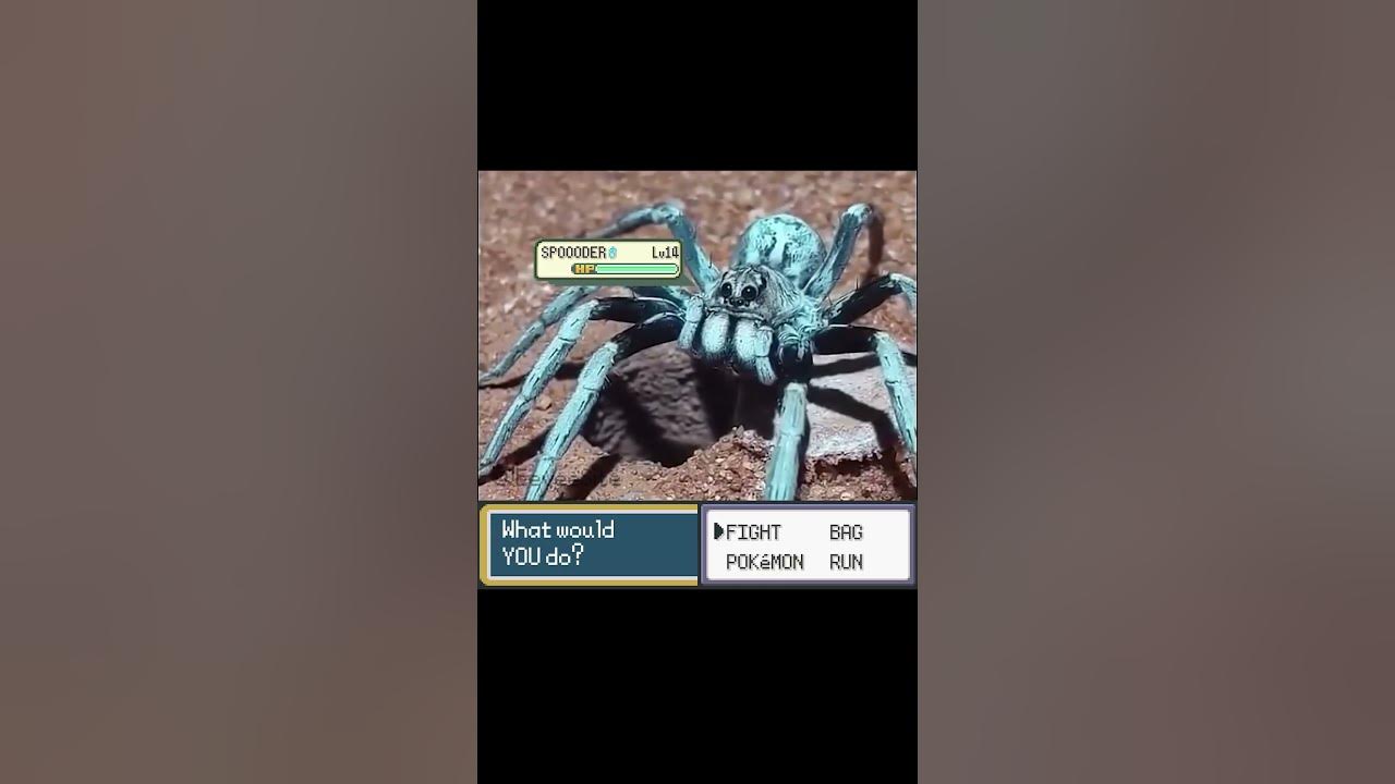 Legendary Pokemon appeared from nest! - EeveeSite #pokemon #pokemonmeme #irlpokemon #pokemonbattle