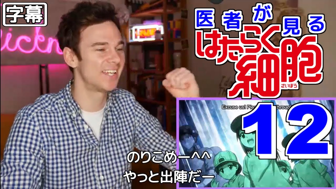 日本語字幕 医者が見る はたらく細胞 12話 不安すら予言する 外国人の反応 Youtube