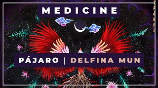 Video thumbnail of "🎼 Pájaro ⭐ Delfina Mun 🏹 Medicine Music"