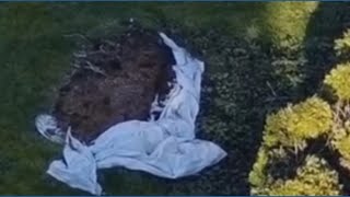 Eyes in the sky: Drones help capture burglary suspect on the run