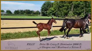 Dior Progres (Drive Me Crazy & Glasgow - W Vd Merelsnest & Nelson Z)