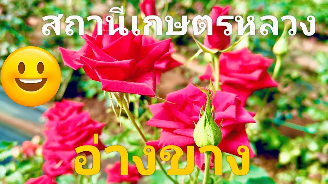 สถานีเกษตรหลวง อ่างขาง