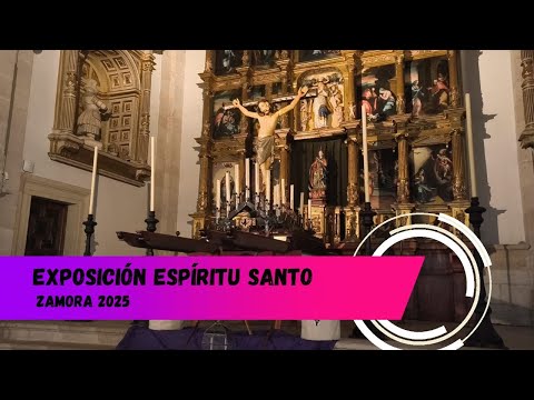 Hermandad Penitencial del Santísimo Cristo del Espíritu Santo 