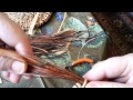 Pine Needle Baskets Part Two: Starting the coil and stitching