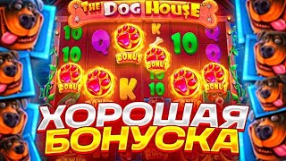 :      THE DOG HOUSE MEGAWAYS!!! Dog house 