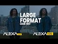 Arri Alexa 65 vs. Alexa Mini - Large Format Look Test (s35mm / 65mm)