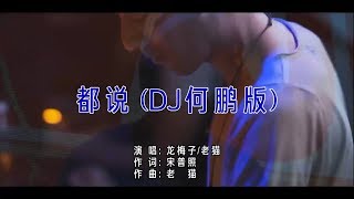 Video thumbnail of "龙梅子&老猫 - 都说（DJ何鹏版）高清1080P"