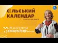 Як живе культура у Васильковецькій громаді на Тернопільщині