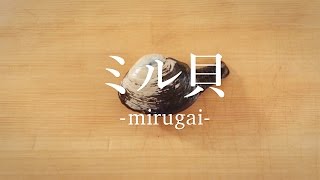 黒ミル貝 ってどんな貝 白ミル貝 とは違うの 旬はいつ 黒ミル貝 ってどんな貝 白ミル貝 とは違うの 旬はいつ