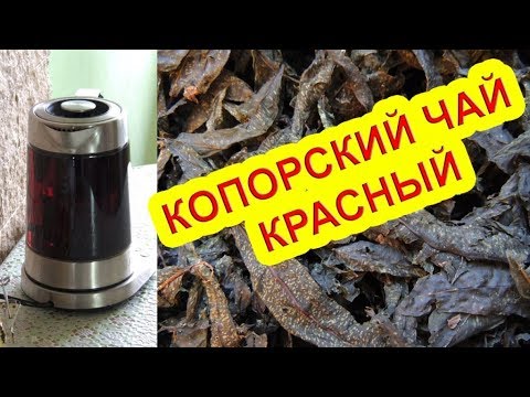 Иван-чай - красный (рубиновый) копорский чай 🌺 или "холодная магия". Russian tea.