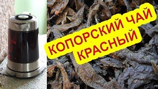 Иван-чай - красный (рубиновый) копорский чай 🌺 или &quot;холодная магия&quot;. Russian tea.