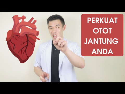 Video: Latihan Apa Yang Memperkuat Sistem Kardiovaskular?