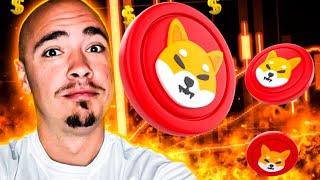 SHIBA INU COIN INVESTORS: DO NOT LISTEN TO THESE PEOPLE!!!