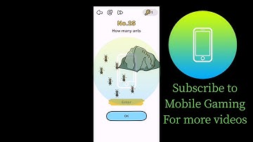 Brain Out Level 25 - How many ants?