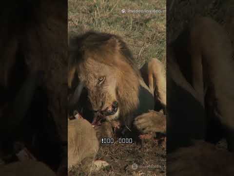 كشف الطبيعة