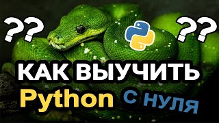 Как быстро выучить Python с нуля? Самый легкий и рабочий способ