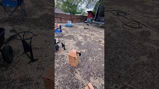 Firewood Situation | Finishing Fence to Protect from Waterfowl #ducks #geese #firewood