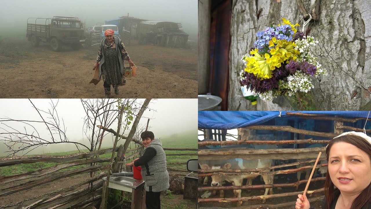 ՔՈՉԸ Տարանք ՍԱՐ - Բարով Գնաք, Բարով Գաք - Շամշադինի Համը - Шамшадин