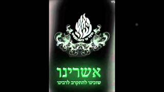גיא גרידיש טראק מתוך שיעור -ביטול לצדיק האמת