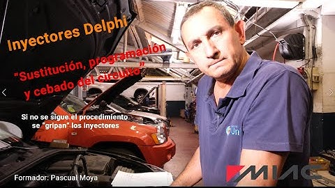INYECTORES DELPHI:  CÓMO CODIFICAR y PURGAR INYECTORES DELPHI