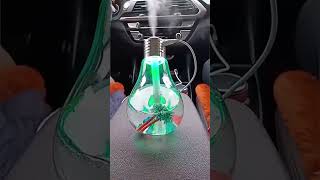 The Bulb Humidifier You Didn’t Know You Needed