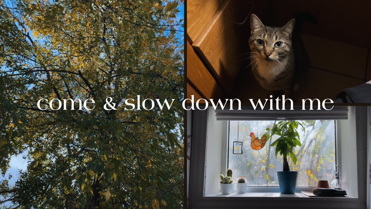 Cozy End to Autumn | Intro Video, Mindful Living, & Baking Bread.