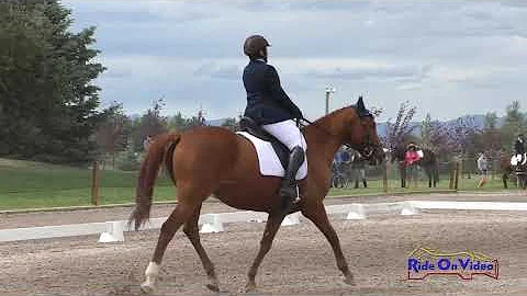 304D Jane Karas on Beale's Gap SR Beginner Novice ...