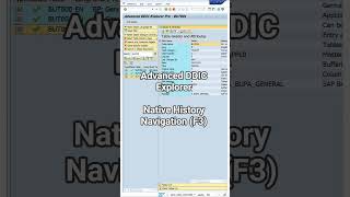 Advanced DDIC Explorer - Native History Navigation (F3)