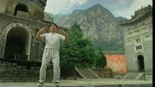 Zhan Zhuang (站桩) Day 3 Zhan Zhuang (站桩) Day 3