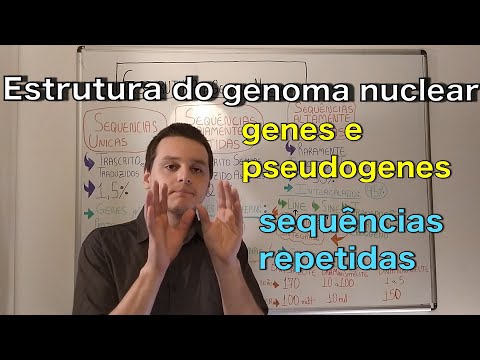 Vídeo: A Sequência Do Genoma De Bos Taurus Revela A Variedade De Genes Da Cadeia Leve Da Imunoglobulina E Substitutos Em Bovinos Domésticos