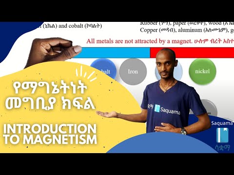 ቪዲዮ: ማግኔት ነጥቦች ምንድን ናቸው?