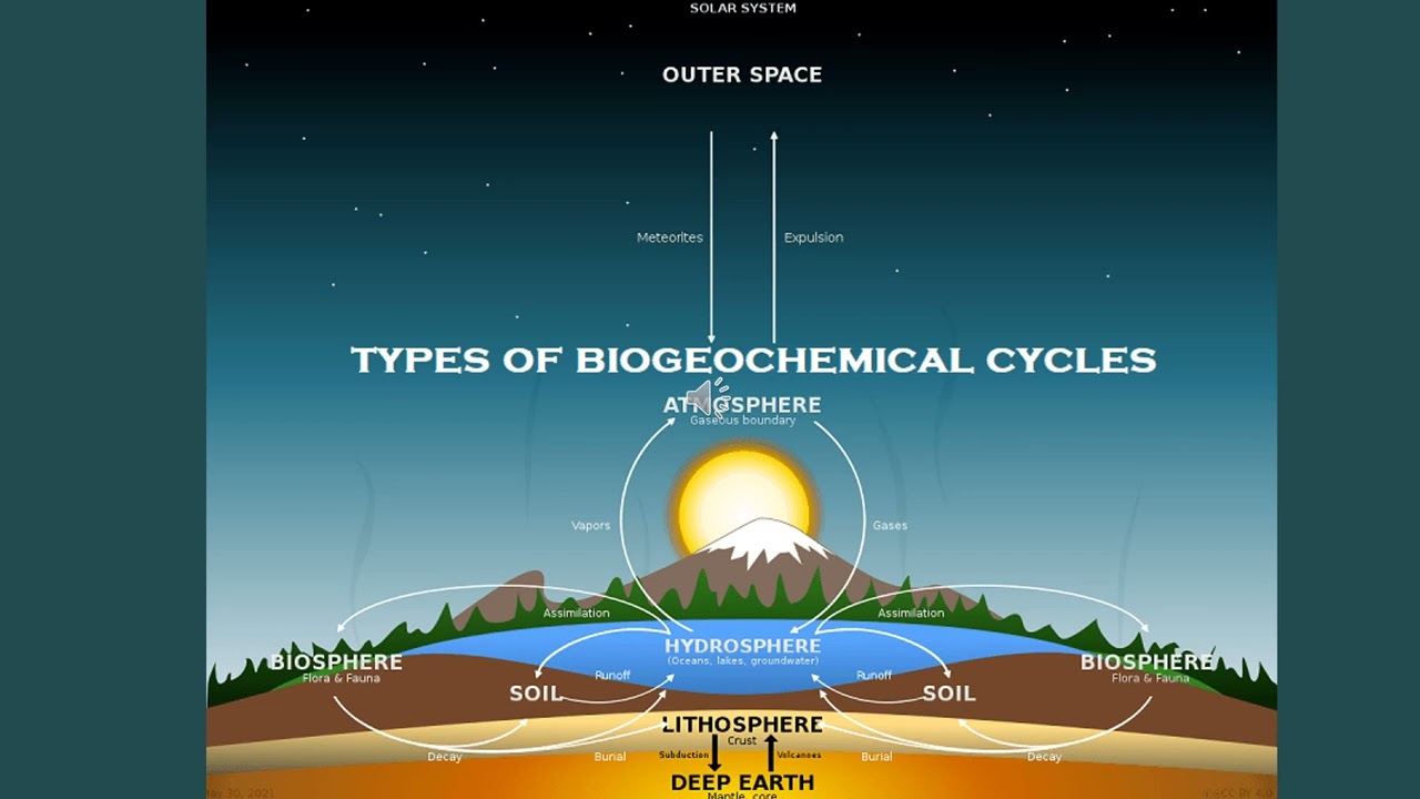 Lecture 2-Nutrients &Evolution
