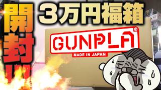30,000円のガンプラ福袋（福箱）買ってみた【MG RG HG RE SD全部入り】