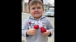 Hasbik Loves Strawberries