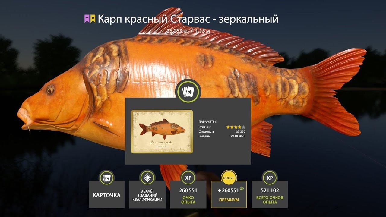 📢СТРИМ РР4🔥ВЕЧЕРНЯЯ ЯНТАРКА В ПРИЯТНОЙ КОМПАНИИ🔥РУССКАЯ РЫБАЛКА 4